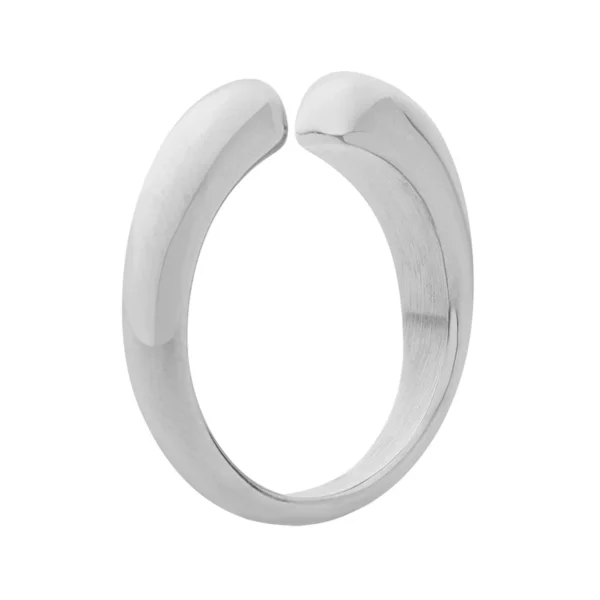 French Simple 316L Stainless Steel Ring Personality Luxury Opening Non Adjustable Ring for Women Wholesale - Image 5