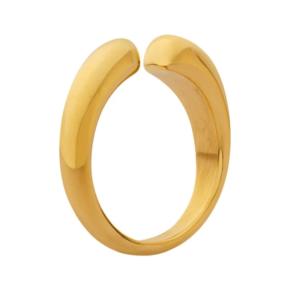 French Simple 316L Stainless Steel Ring Personality Luxury Opening Non Adjustable Ring for Women Wholesale - Image 6