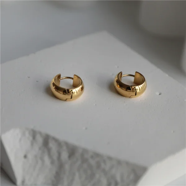 JOOLIM  High End 18K Gold Plated Simple Fashion Circle Hoop Earrings for Women Stainless Steel Earrings Wholesale - Image 5