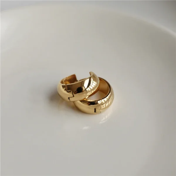 JOOLIM  High End 18K Gold Plated Simple Fashion Circle Hoop Earrings for Women Stainless Steel Earrings Wholesale - Image 2