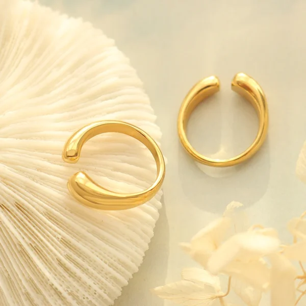 French Simple 316L Stainless Steel Ring Personality Luxury Opening Non Adjustable Ring for Women Wholesale - Image 3